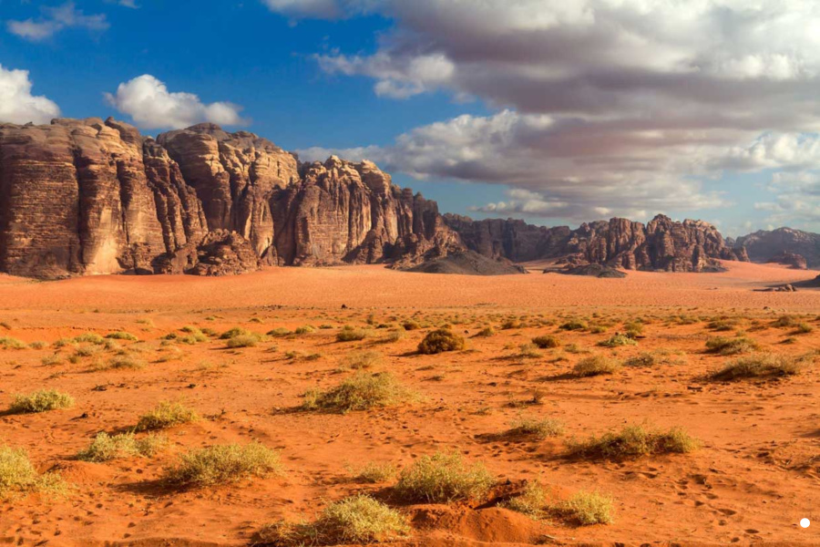 Jordan Hiking Adventure Tour (Dana-Petra-Wadi Rum) for 8 days by JHT